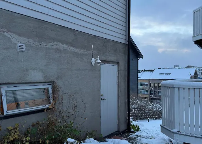 Mye For Pengene, Sentralt I Narvik!